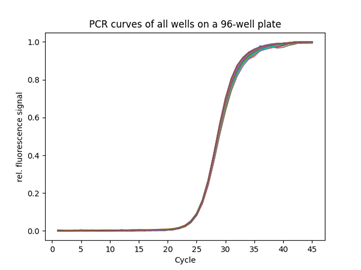 The overlay of all qPCR curves demonstrates remarkable consistency in amplification efficiencies throughout all wells.